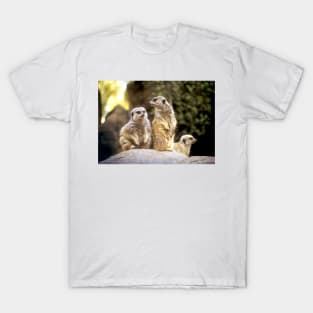 Act Natural Meerkats T-Shirt